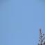 bluesky2012aug.jpg bluesky2012aug.jpg