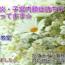 配偶者控除が無くなります(ToT)/ 配偶者控除が無くなります(ToT)/